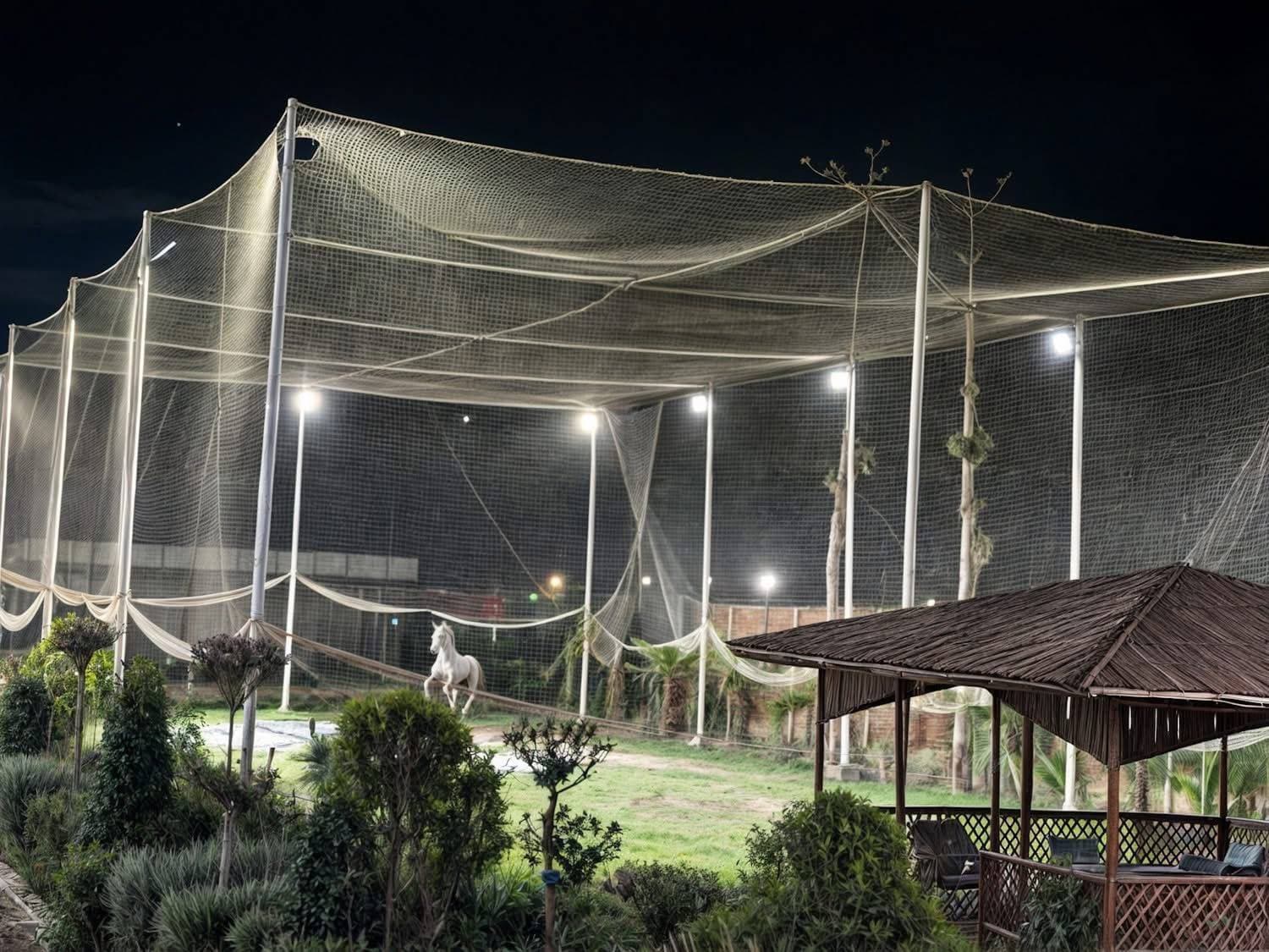 Horse arena at night