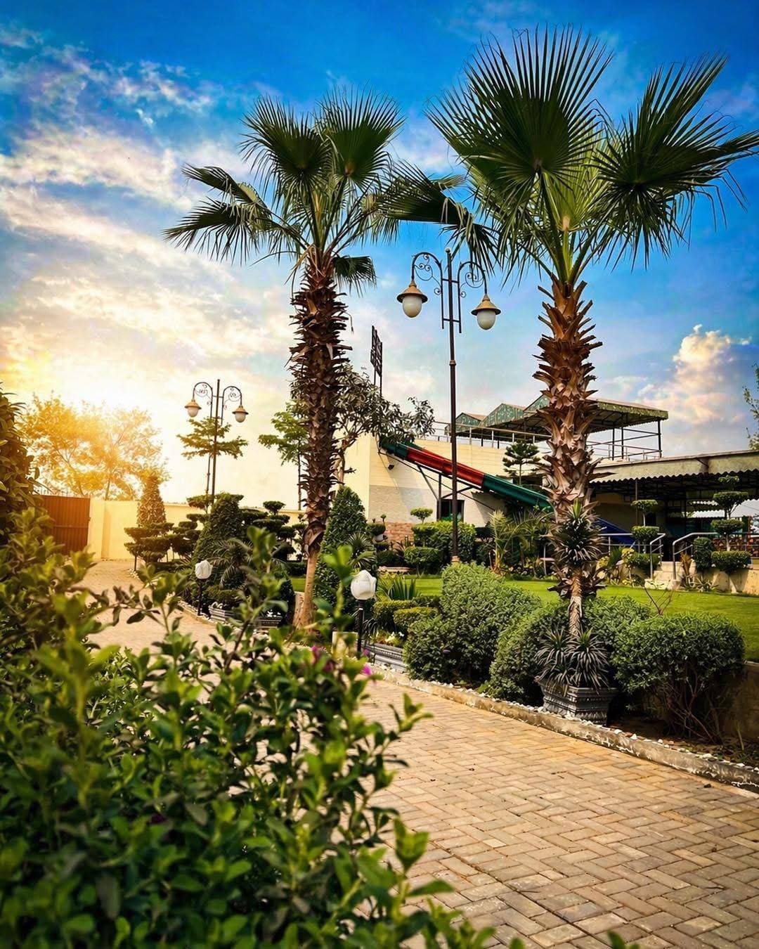 Palm garden walkway